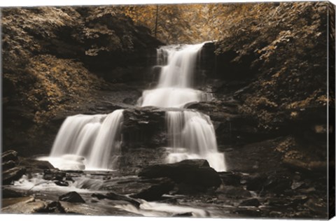 Framed Golden Waterfall II Print