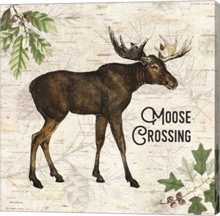 Framed Moose Crossing Print