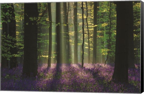 Framed Perfect Spring Scene Print