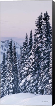 Framed Tatoosh Range Panel III Print