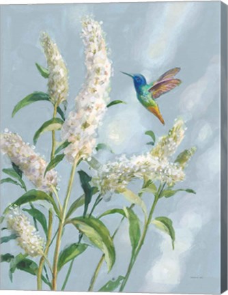 Framed Hummingbird Spring II Soft Blue Print