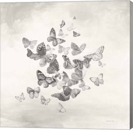 Framed Beautiful Butterflies BW Print