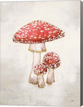 Framed Woodland Mushroom II Print
