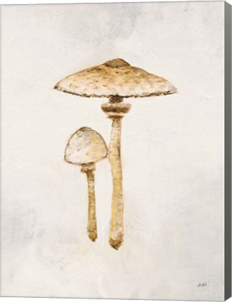 Framed Woodland Mushroom I Print