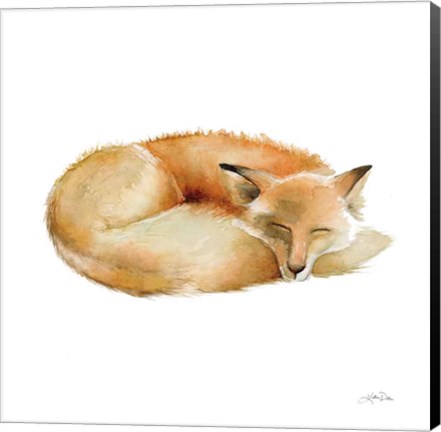 Framed Sleeping Fox on White Print