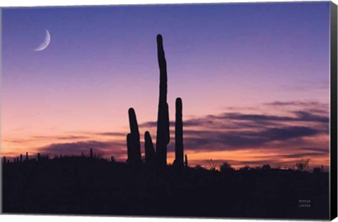 Framed Desert Moons Print