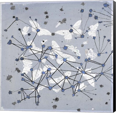 Framed 19th Century Butterfly Constellations in Blue I Print