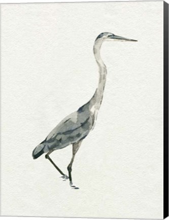 Framed Saltwater Herons I Print