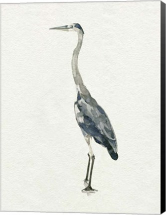 Framed Saltwater Herons II Print