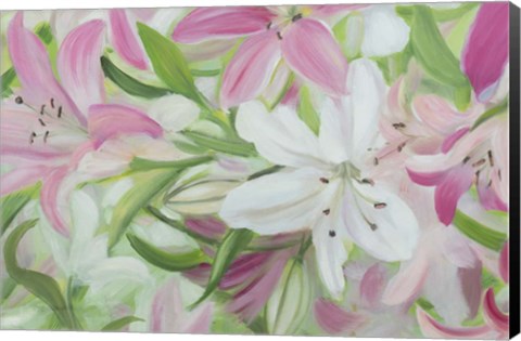 Framed Pink and White Lilies IV Print