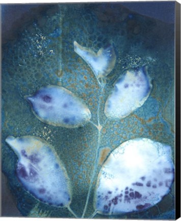 Framed Cyanotype Leaves III Print