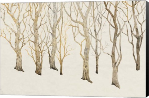 Framed Bare Trees II Print