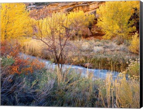 Framed Autumn Chaos Along The Fremont Print