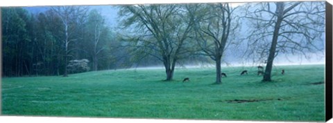 Framed Foggy Morning and Deer Print