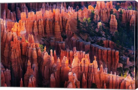 Framed Bryce Canyon at Sunset Print