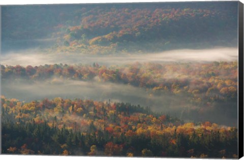 Framed Misty Morning Print