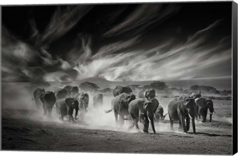 Framed Sky, Dust and Elephants Print