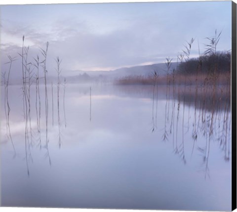 Framed Reflections in a Lake 1 Print