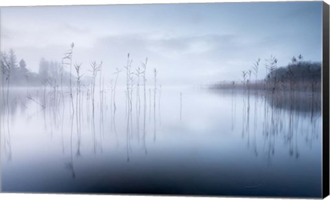 Framed Reflections in a Lake 2 Print