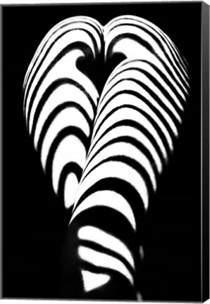 Framed Zebra Ass 2 Print