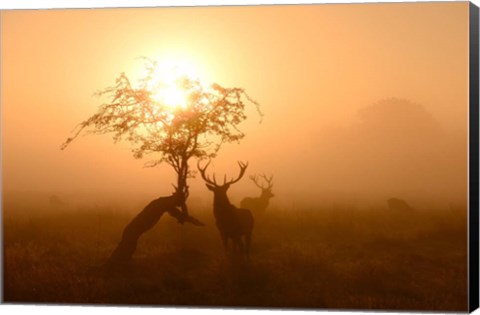 Framed Guardians of Light Print