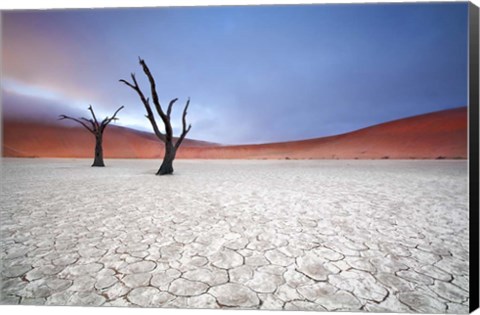 Framed Mist over Deadvlei Print