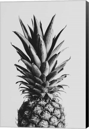 Framed Pineapple Black a White 2 Print