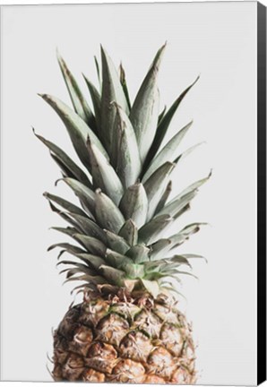 Framed Pineapple Natural Print