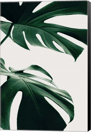 Framed Monstera Natural 12 Print