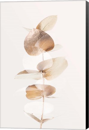 Framed Eucalyptus Creative Gold 4 Print