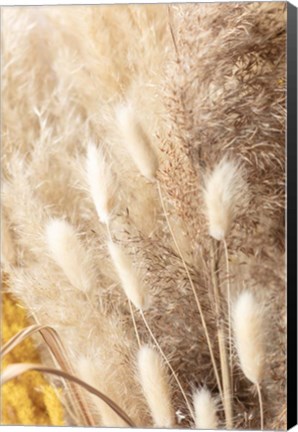 Framed Dried Bouquet Print