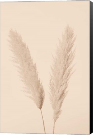 Framed Pampas Grass Beige 1 Print