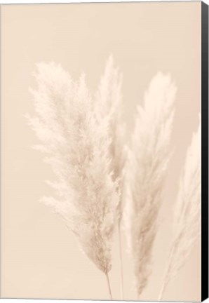 Framed Pampas Grass Beige 2 Print