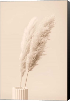 Framed Pampas Grass Begie 13 Print