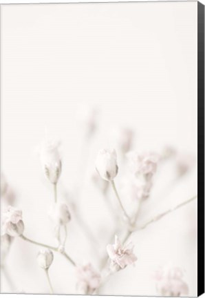 Framed Pink Small Flowers Print