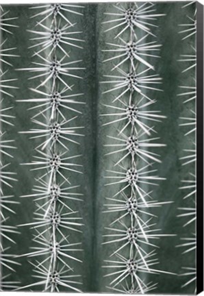 Framed Cactus Green Print