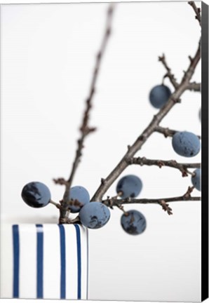 Framed Berries Blue Print
