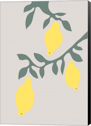 Framed Lemons Print