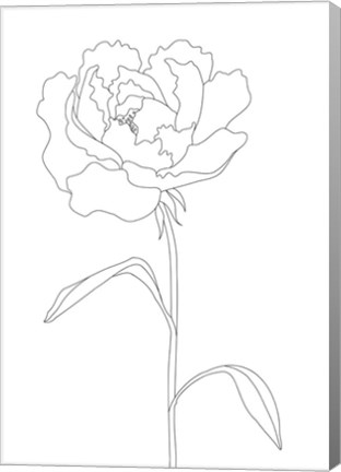 Framed Peony Lines Print