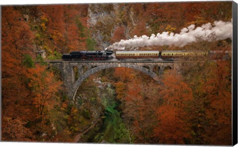 Framed Museum Train Print