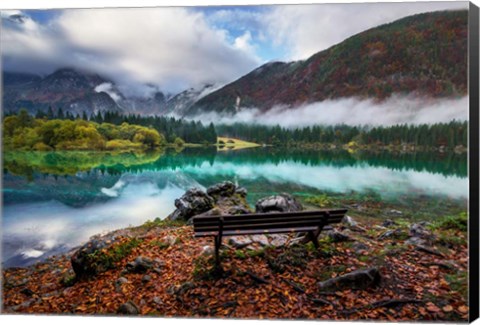 Framed Bench by the Lake Print