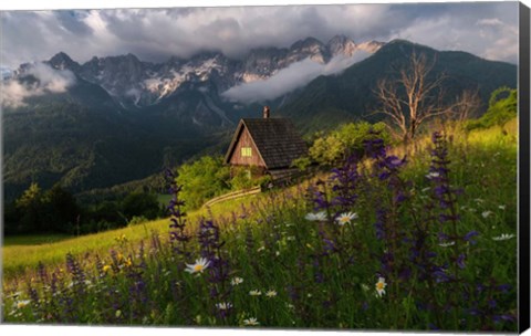 Framed On the Meadows Print