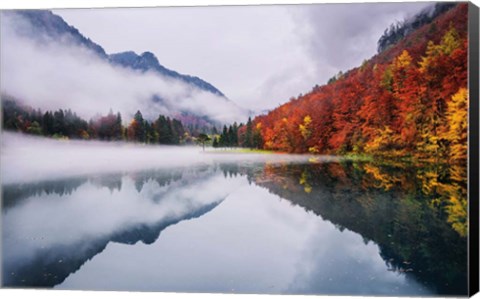 Framed Autumn Reflections Print