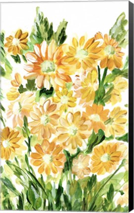 Framed Daisies in Yellow Print