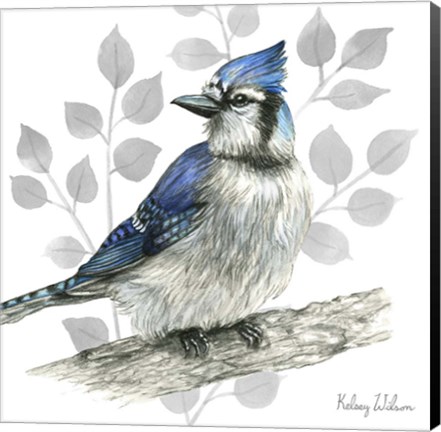 Framed Backyard Birds I-Blue Jay Print