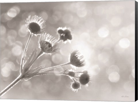 Framed Wild Flowers I Print
