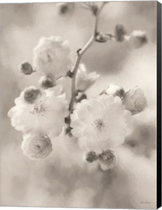Framed Painted Blossoms I Print