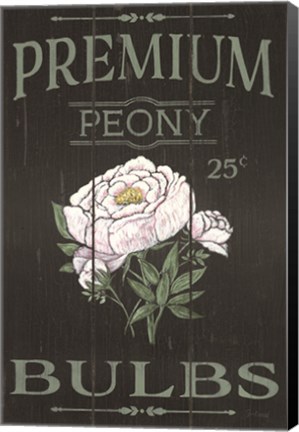 Framed Peony Blubs Print