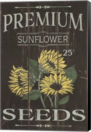 Framed Sunflower Seeds Print