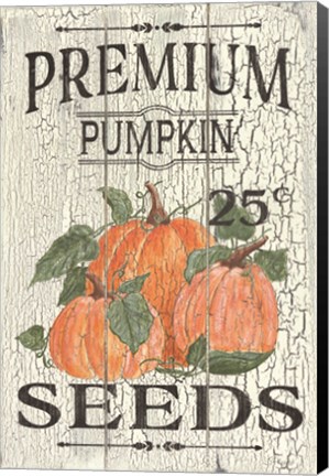 Framed Pumpkin Seeds Print